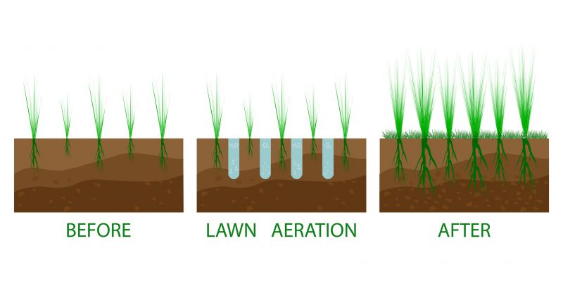 Core Aeration
