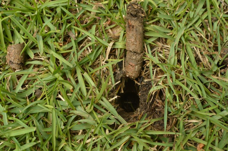Core Aeration