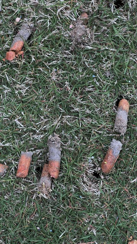 Core Aeration Cost Insights — Cost of Core Aeration