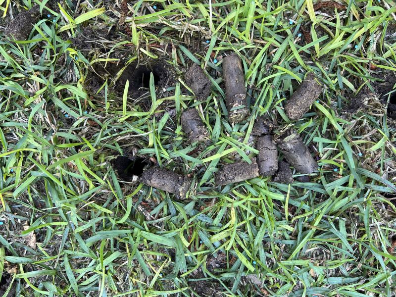 Core Aeration Cost Insights — Cost of Core Aeration