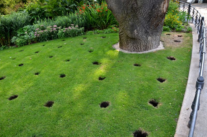 Lawn Post-Aeration
