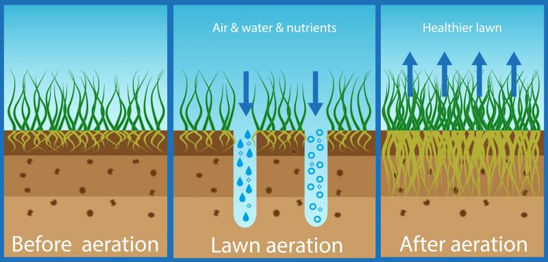 Lawn Post-Aeration Treatment