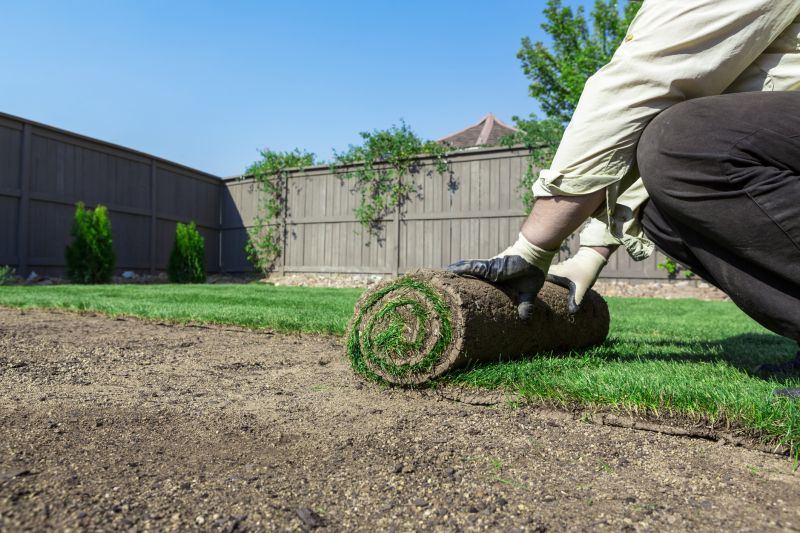 Yard Sod Installation in Ventura County, CA