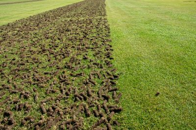 Improve the Appearance of Your Soil with Core Aeration Service!